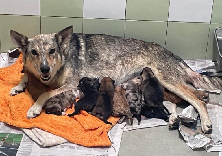 multimedia-foto90137-813-1