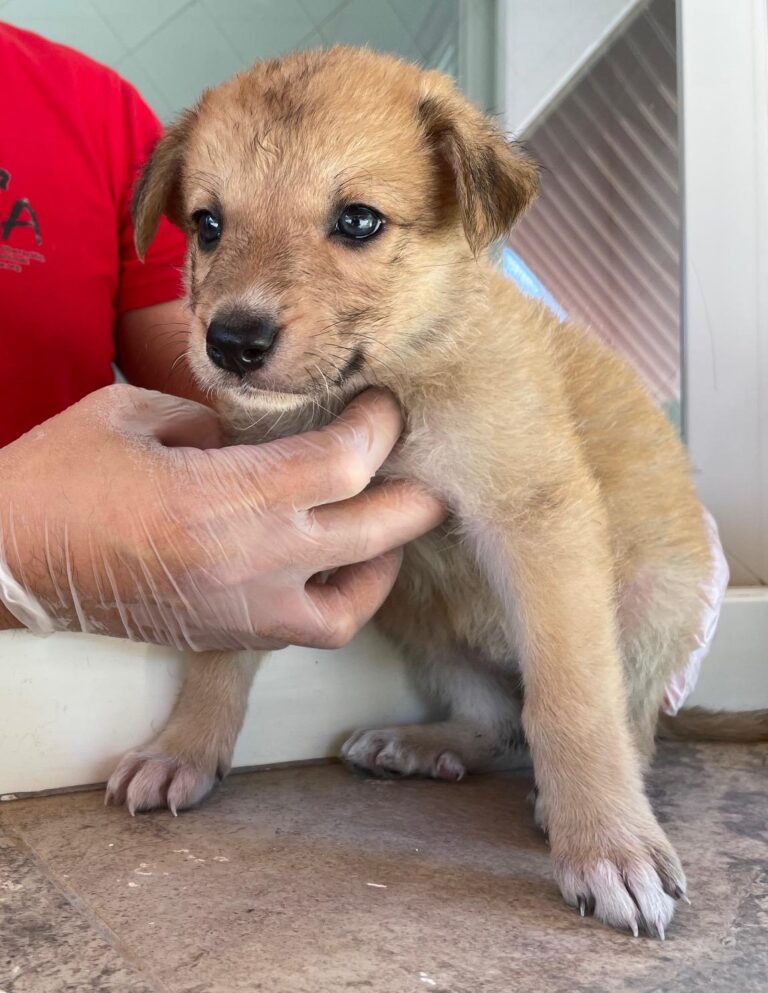 multimedia-foto90181-478-1