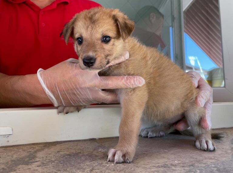 multimedia-foto90182-479-1