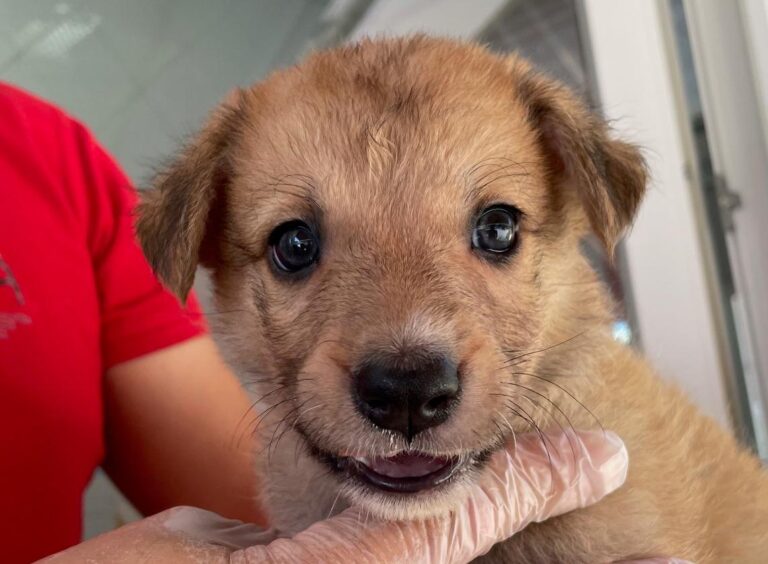 multimedia-foto90184-479-1