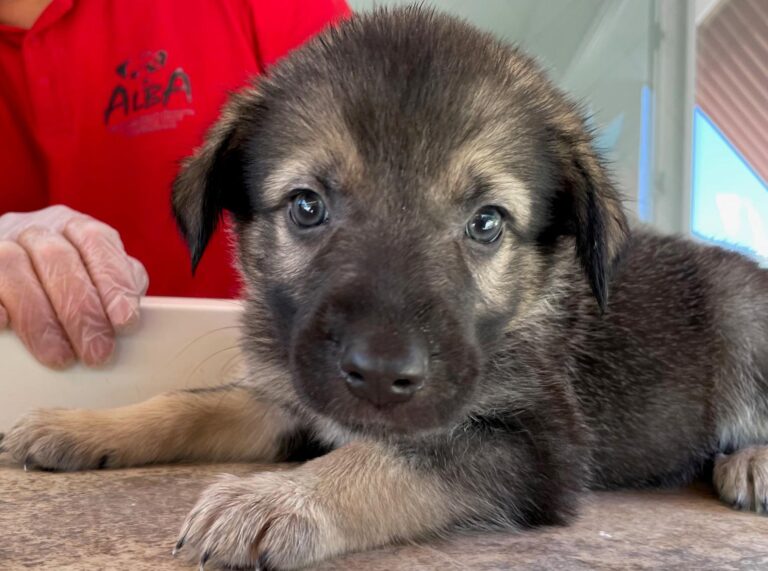 multimedia-foto90190-549-1