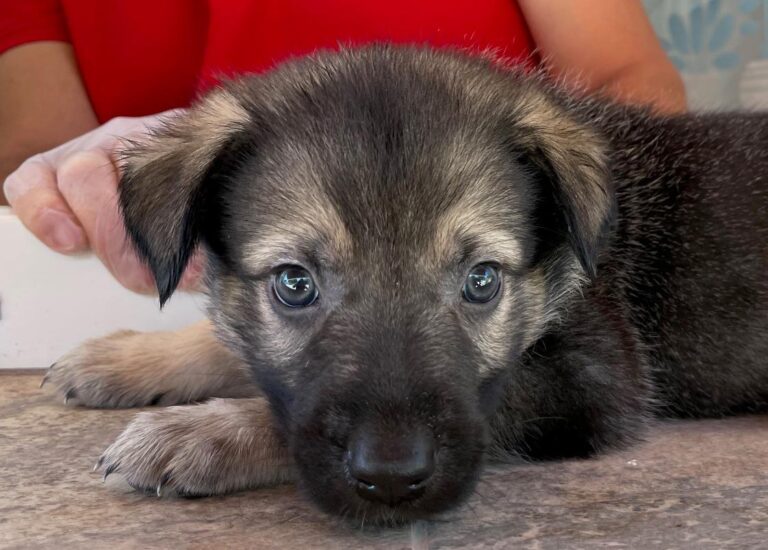 multimedia-foto90192-549-1