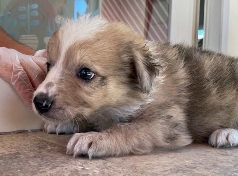 multimedia-foto90200-719-1