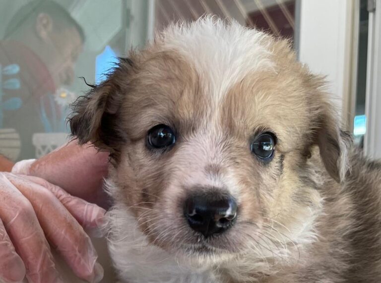 multimedia-foto90201-719-1