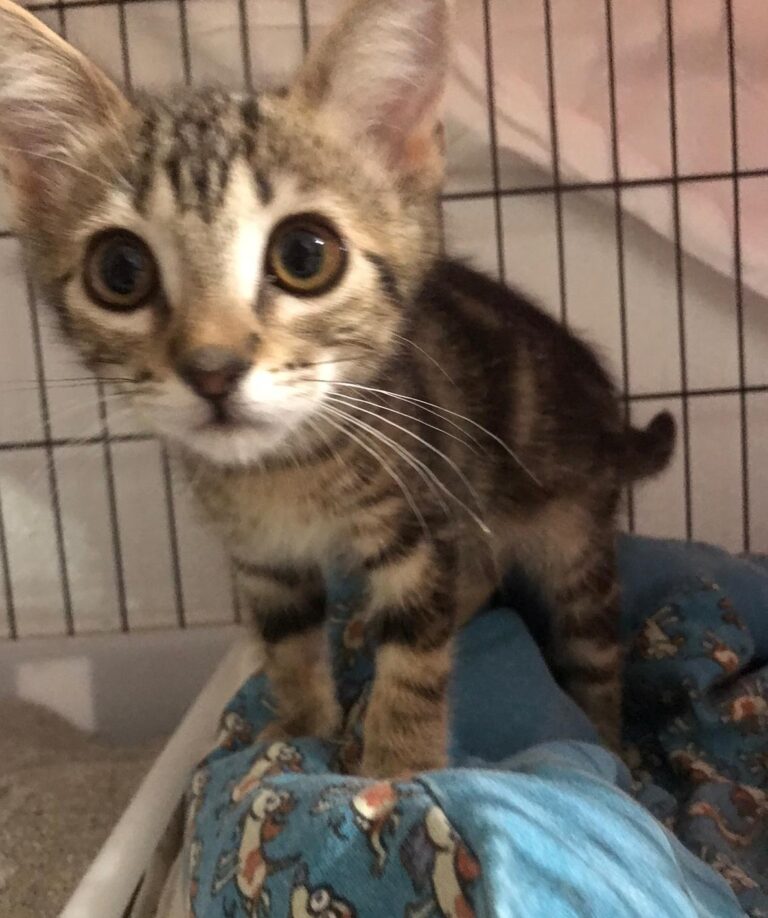 multimedia-foto90210-444-1