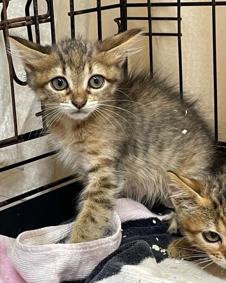 multimedia-foto90244-639-1