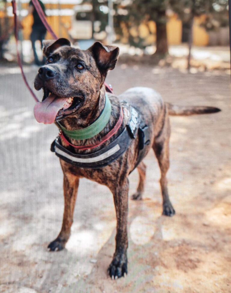 multimedia-foto90258-32-1