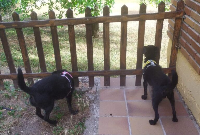 multimedia-foto90263-220-1