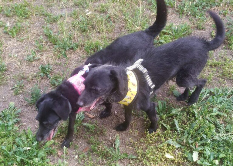 multimedia-foto90264-221-1