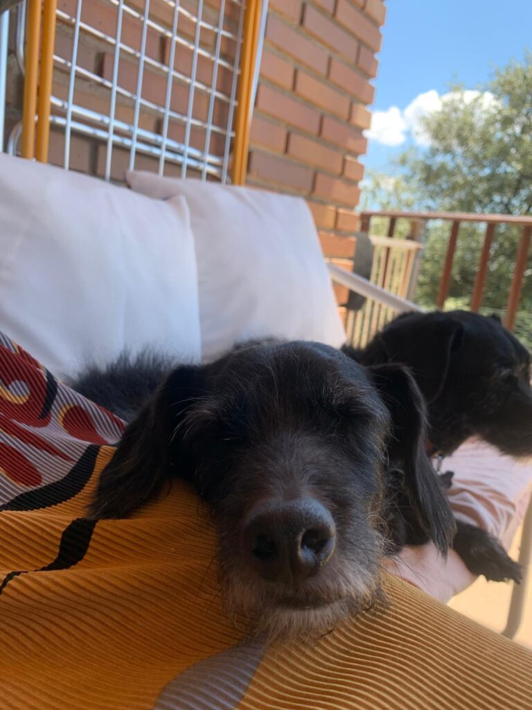 multimedia-foto90267-221-1