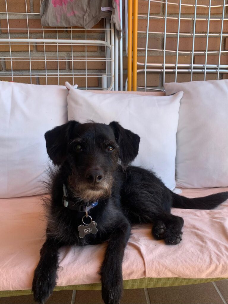 multimedia-foto90268-222-1