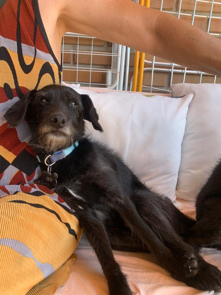 multimedia-foto90269-222-1