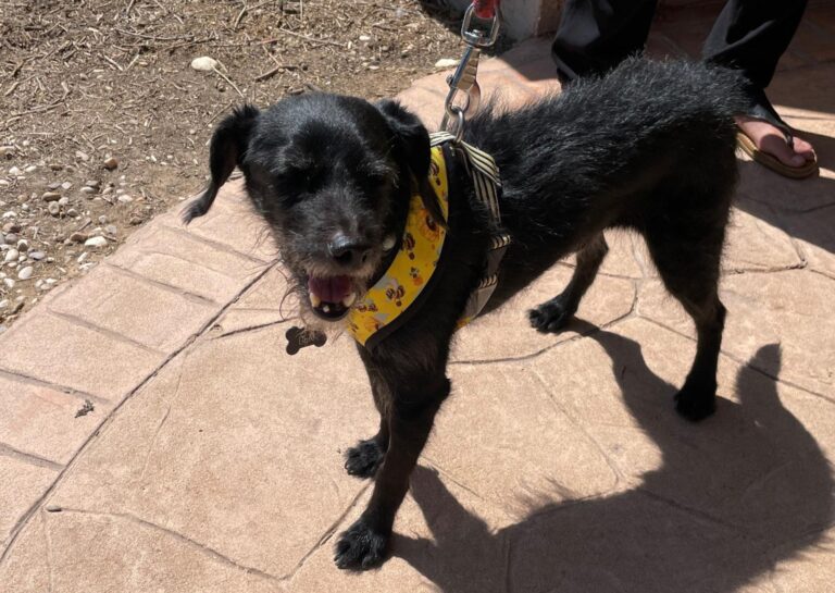 multimedia-foto90271-223-1