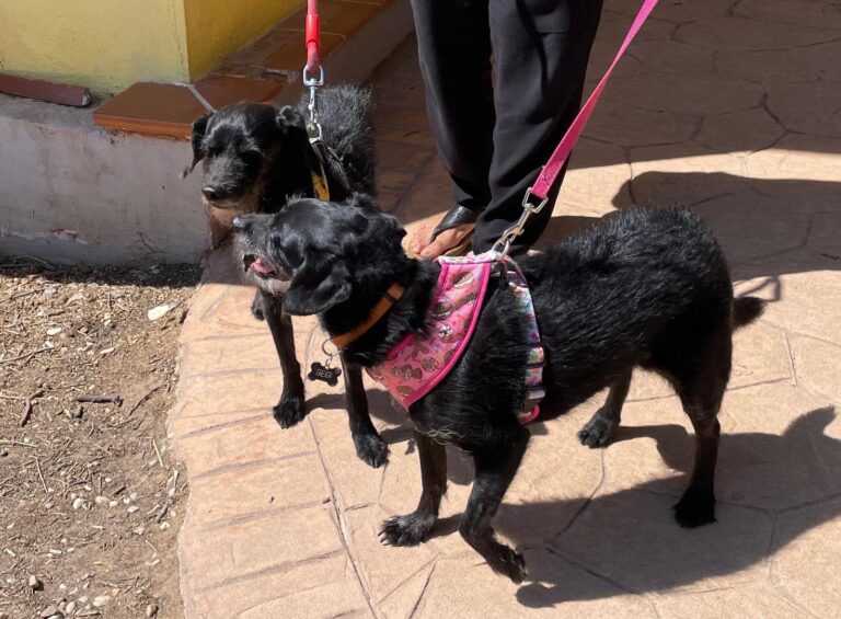 multimedia-foto90274-329-1