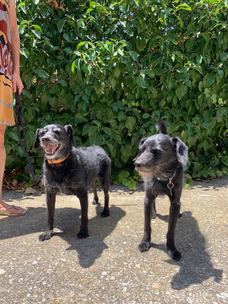 multimedia-foto90275-329-1