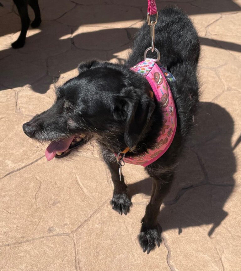 multimedia-foto90276-330-1