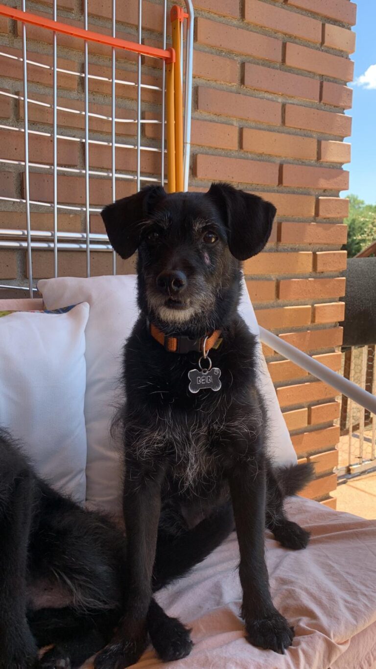 multimedia-foto90277-330-1