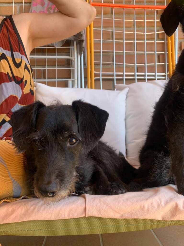 multimedia-foto90279-330-1