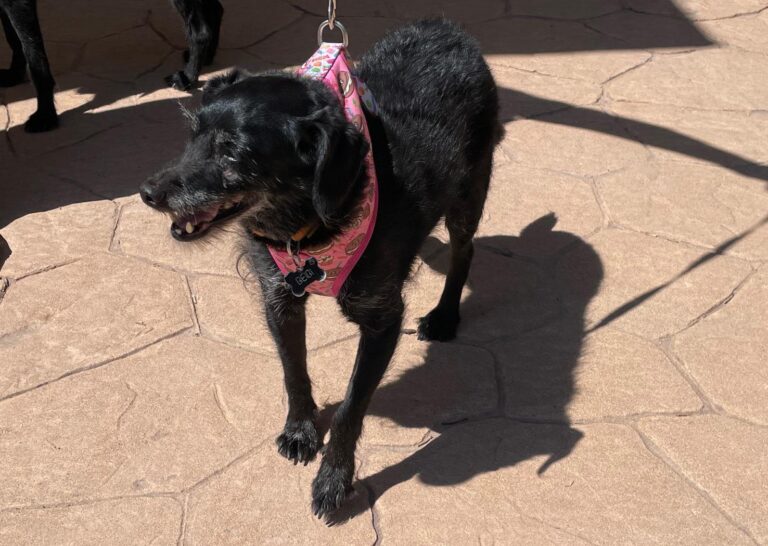 multimedia-foto90281-357-1