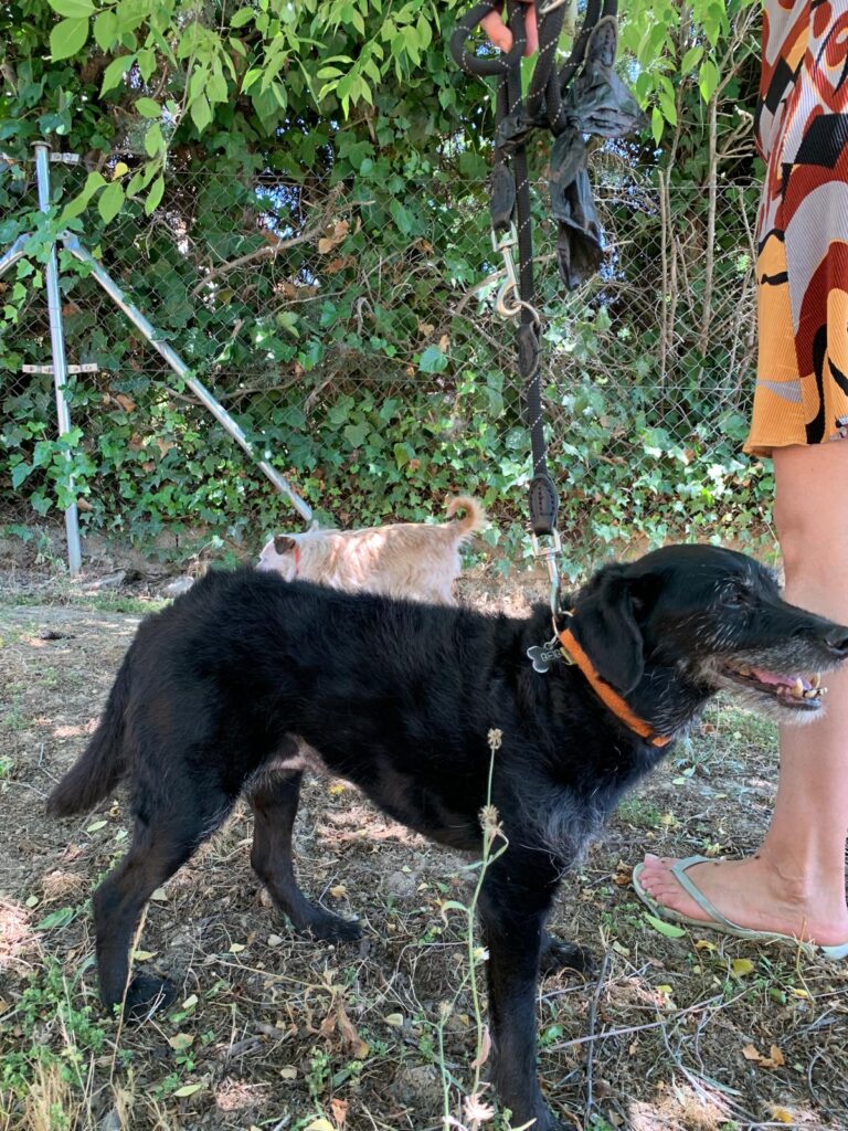 multimedia-foto90282-357-1