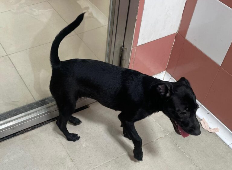 multimedia-foto90300-183-1