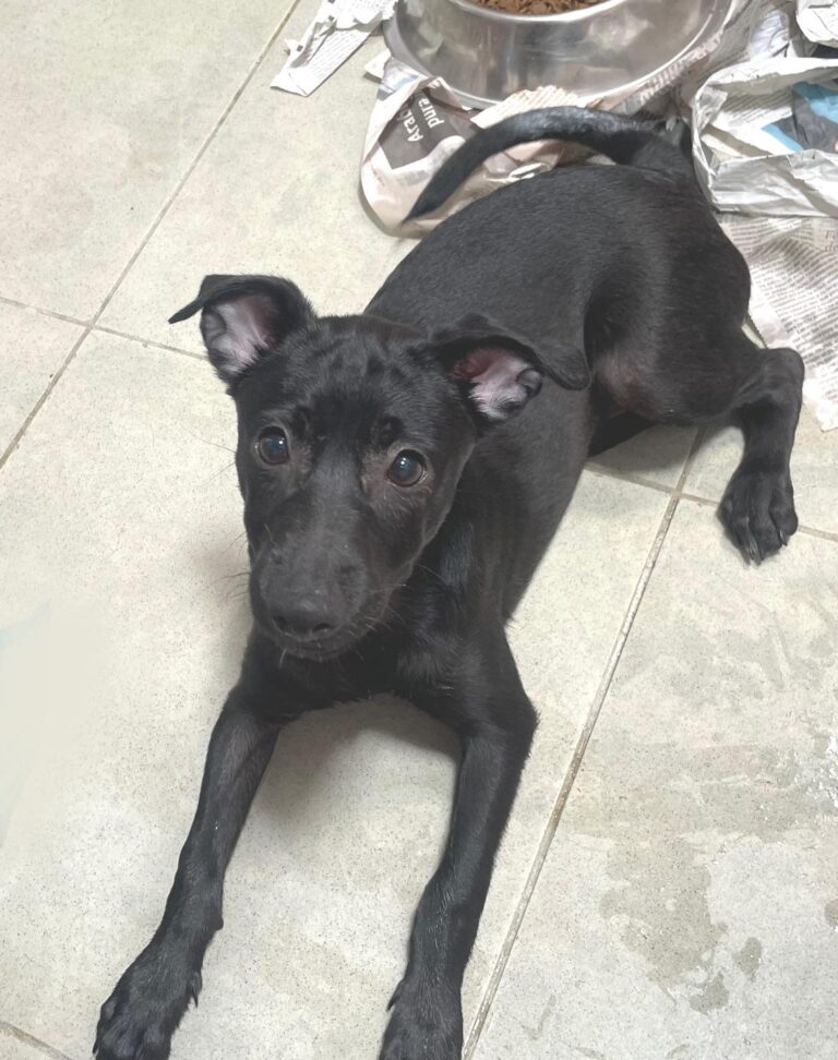 multimedia-foto90301-183-1