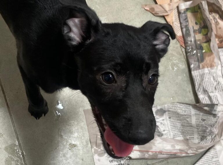 multimedia-foto90302-183-1