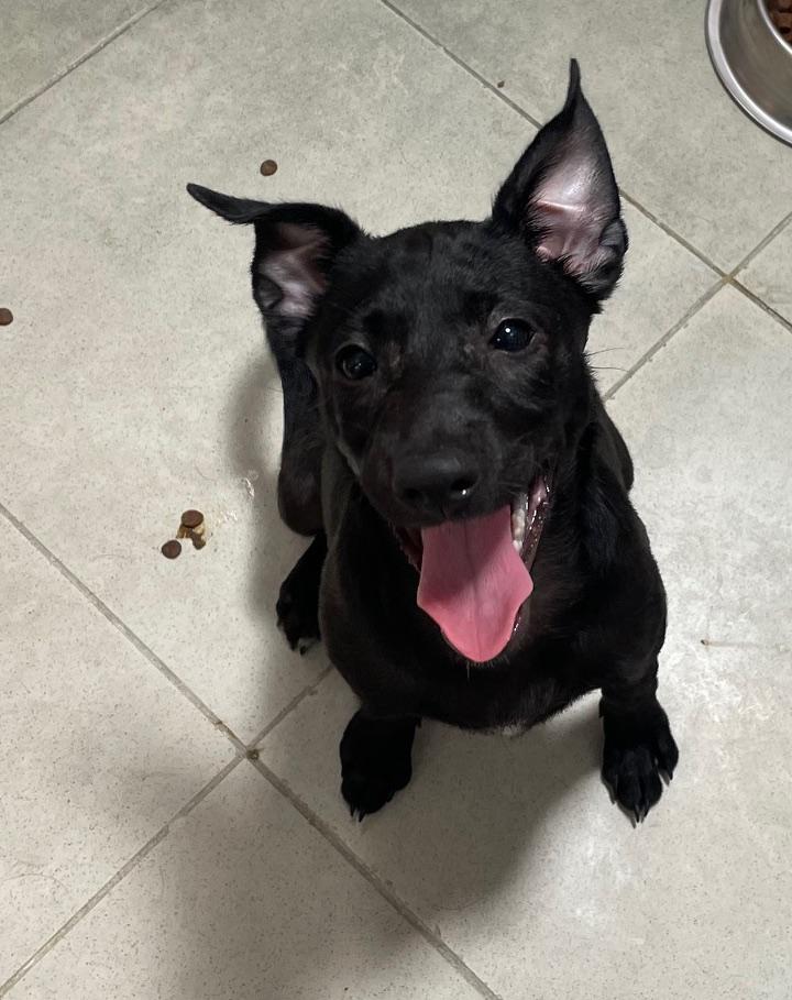 multimedia-foto90303-183-1