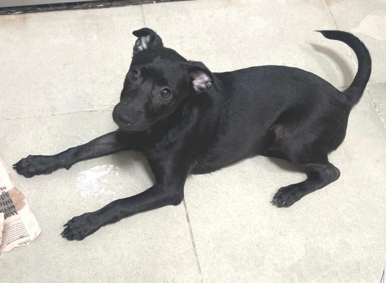 multimedia-foto90304-184-1