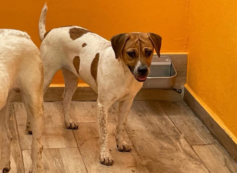 multimedia-foto90360-483-1