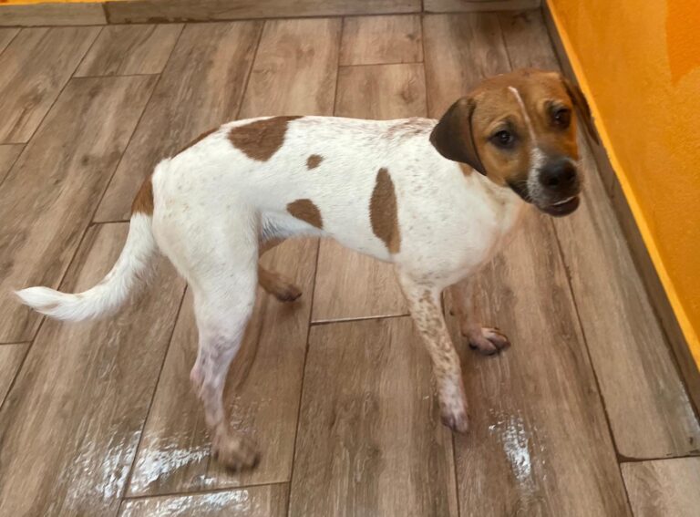 multimedia-foto90364-484-1