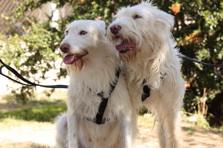 multimedia-foto90383-613-1