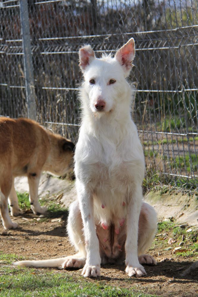 multimedia-foto90384-613-1