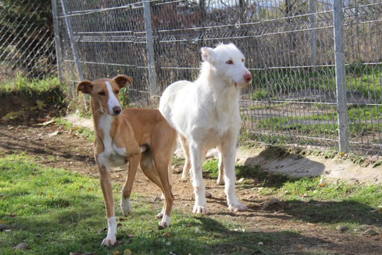 multimedia-foto90385-614-1