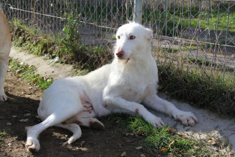 multimedia-foto90386-614-1