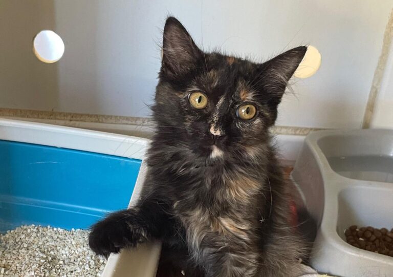 multimedia-foto90468-674-1