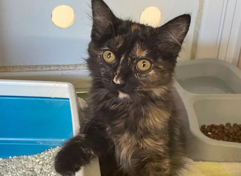 multimedia-foto90470-674-1