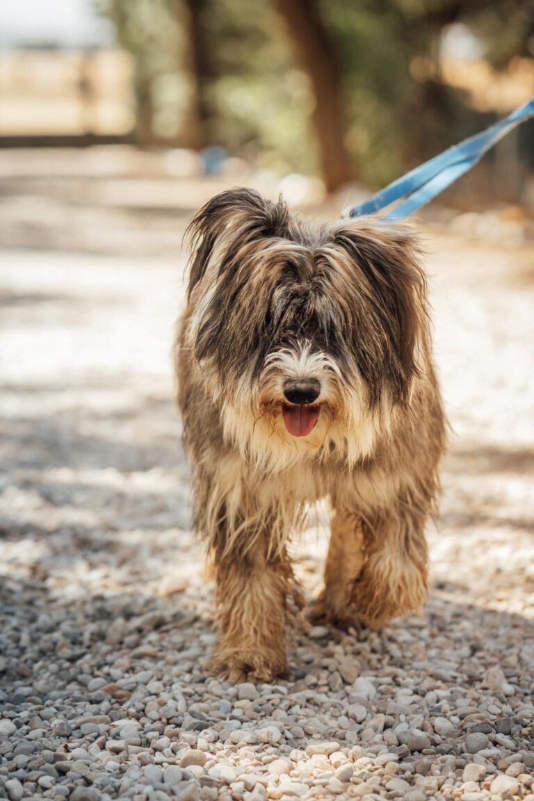 multimedia-foto90502-138-1