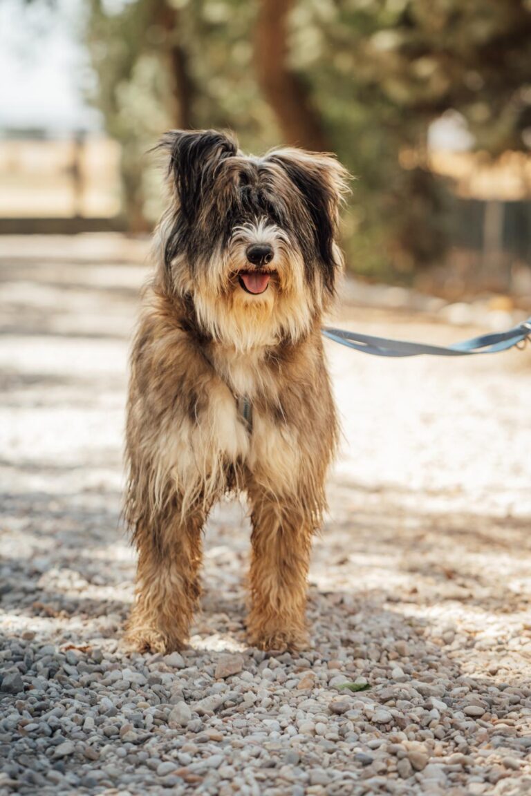 multimedia-foto90503-138-1