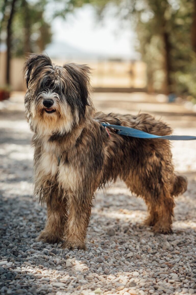 multimedia-foto90504-138-1