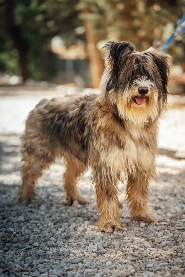 multimedia-foto90505-138-1