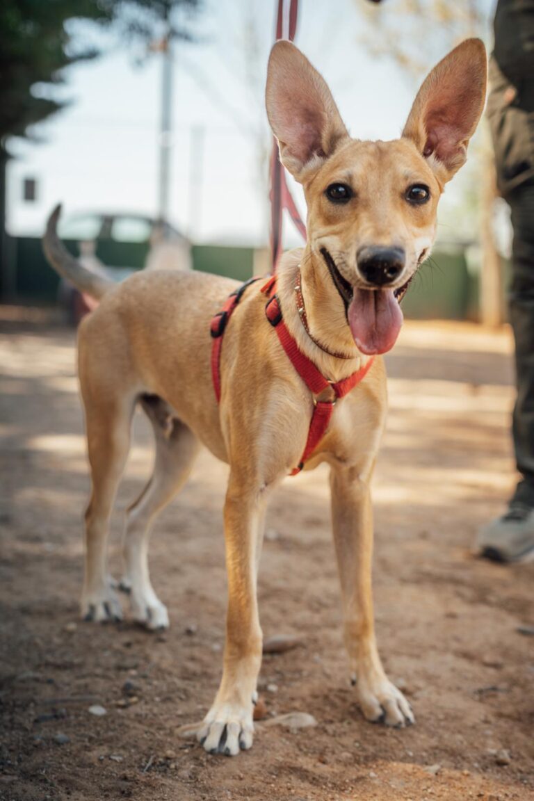 multimedia-foto90514-482-1