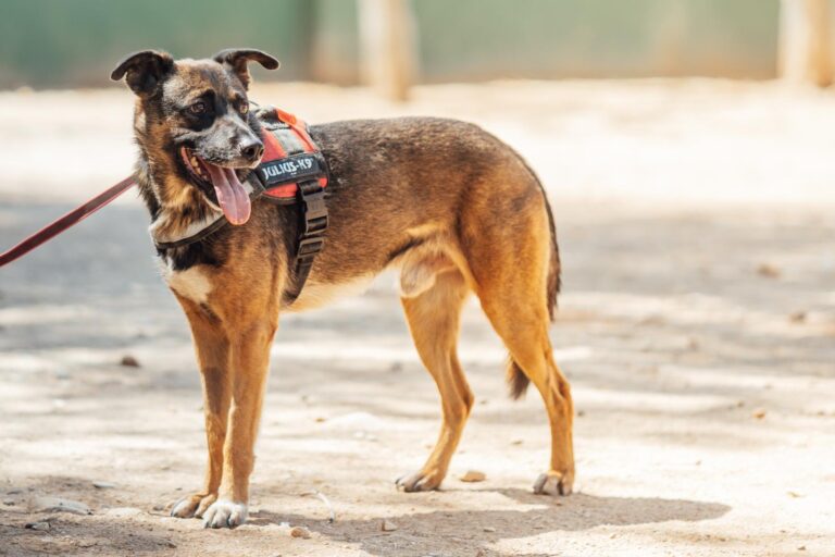 multimedia-foto90528-44-1