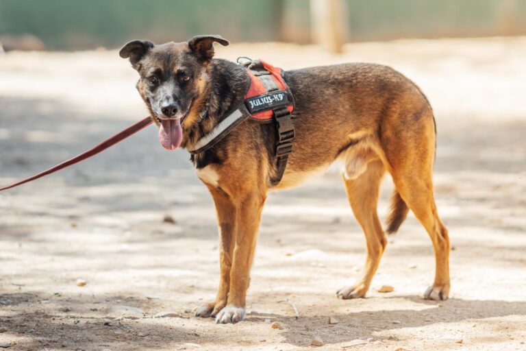 multimedia-foto90529-44-1