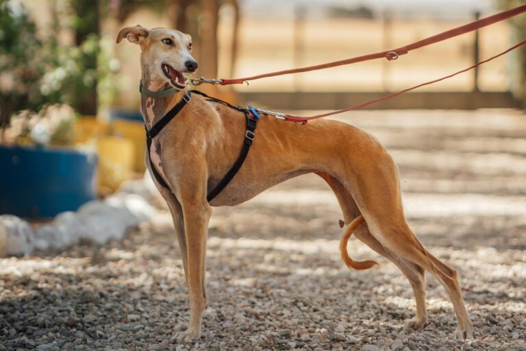 multimedia-foto90541-150-1