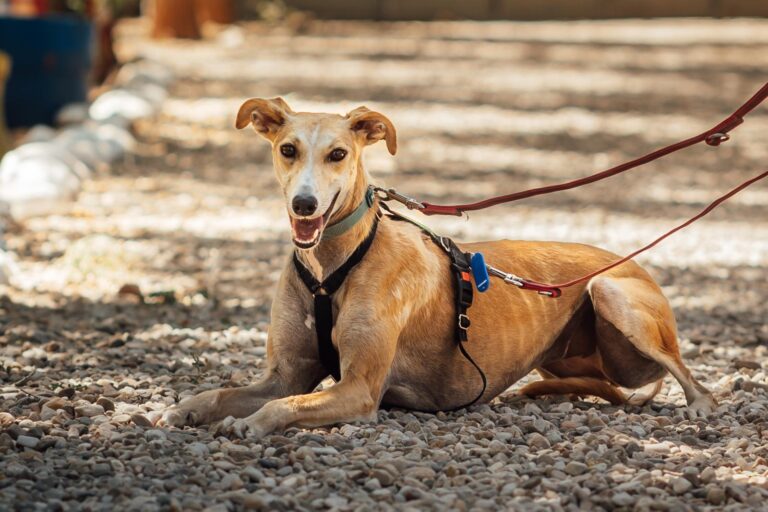 multimedia-foto90542-150-1