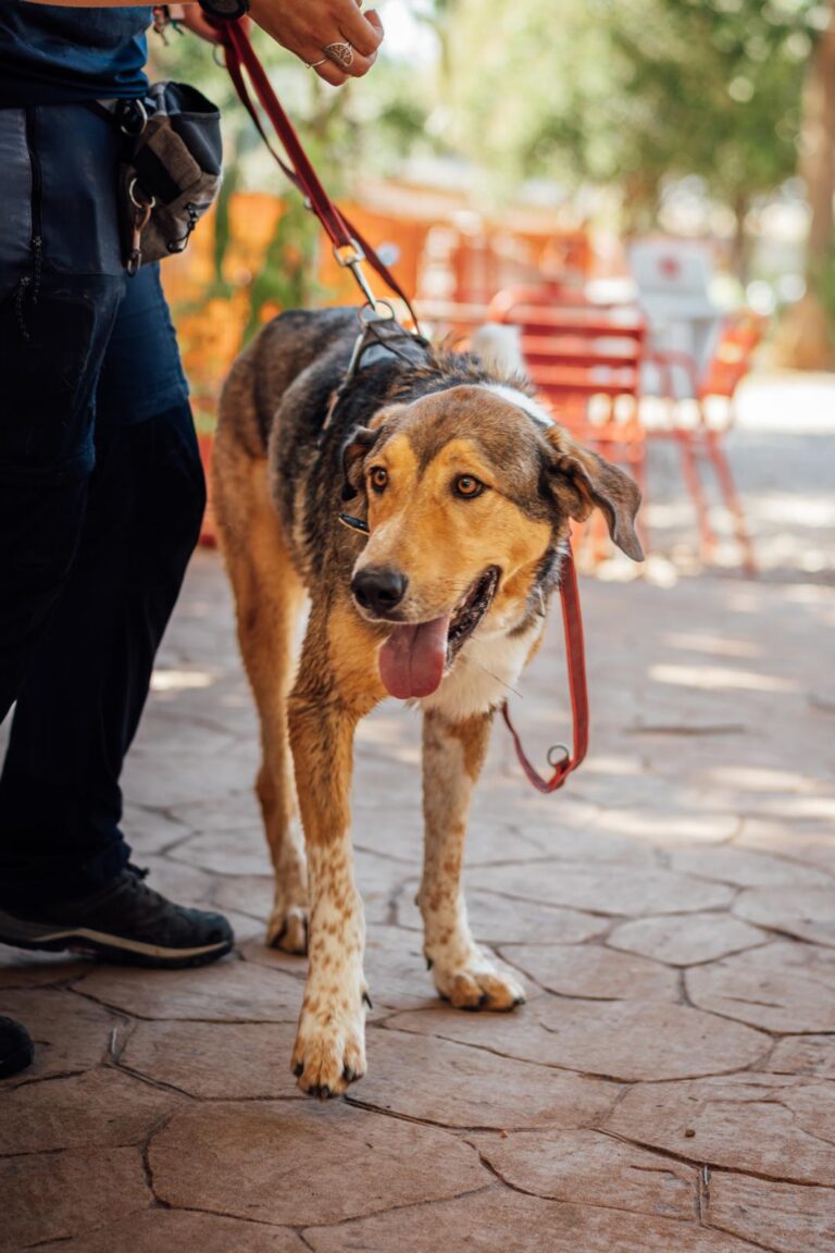 multimedia-foto90543-976-1