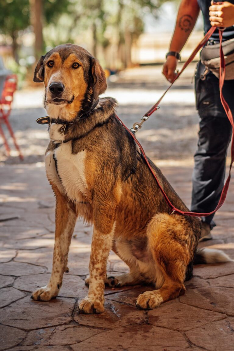 multimedia-foto90544-976-1