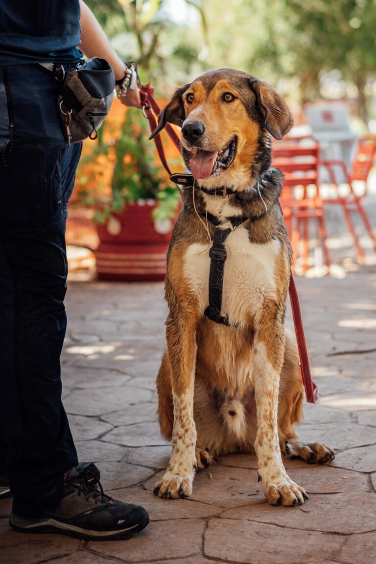 multimedia-foto90546-976-1