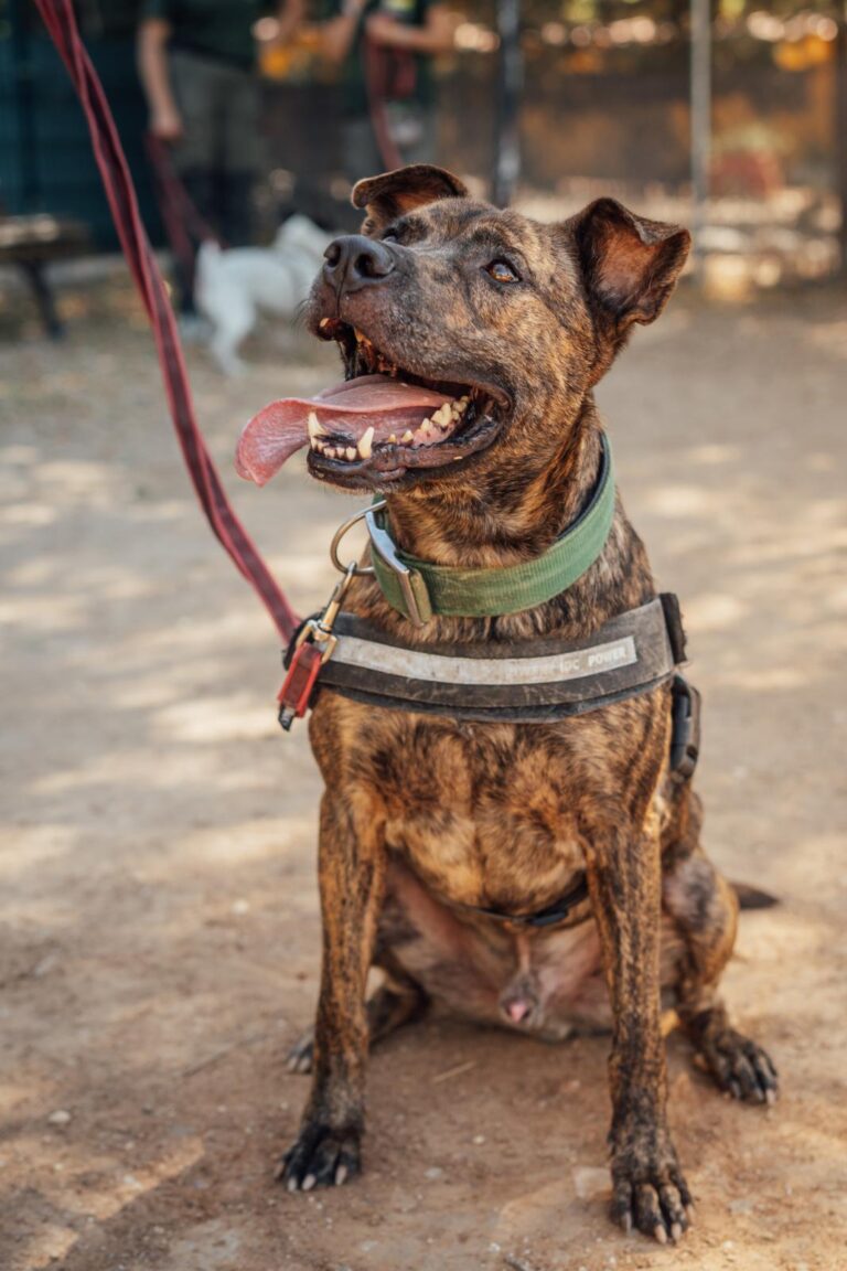 multimedia-foto90581-751-1